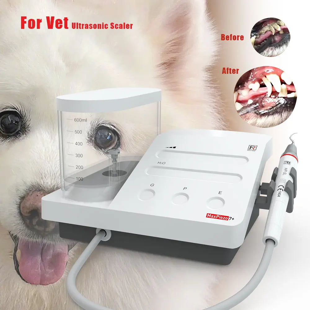 Para veterinário pet s dental scaler ultra-sônico endo escamação dentes com garrafa de água led periodontia handpiece destacável maxpiezo 7 +