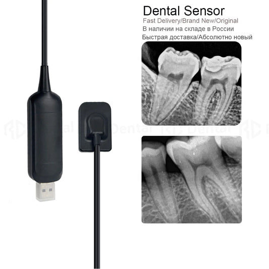 Medical Dental Sensor DynImage X-ray Sensor fast transmission Digital Intraoral System Intra-Oral Include Software 3m Cable